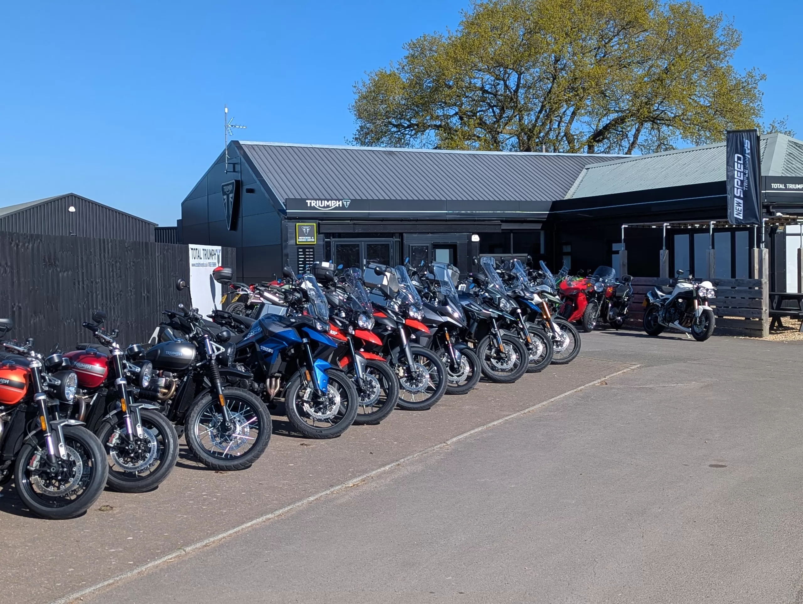 Welcome to Total Triumph