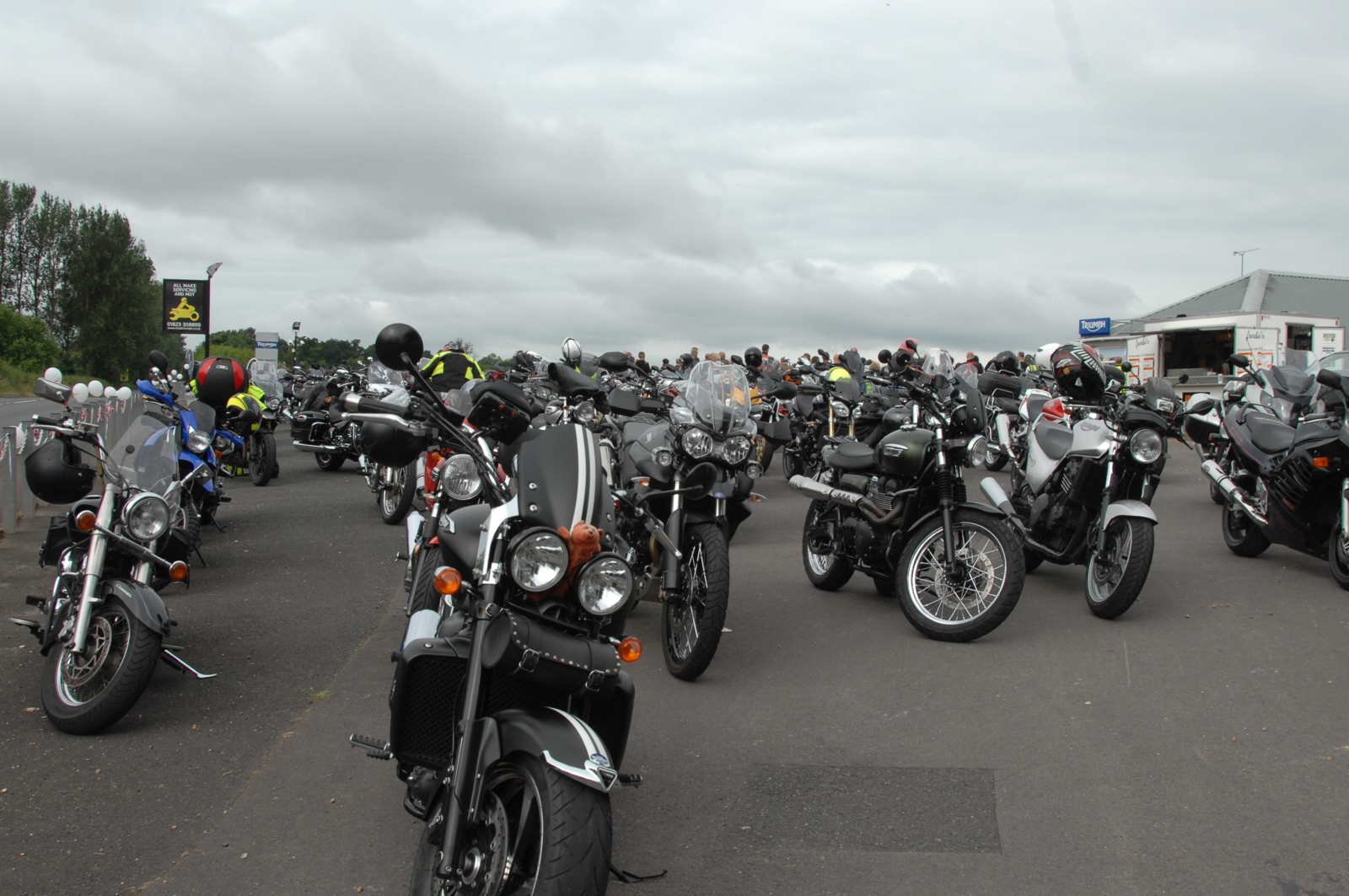 Gallery Cover Image